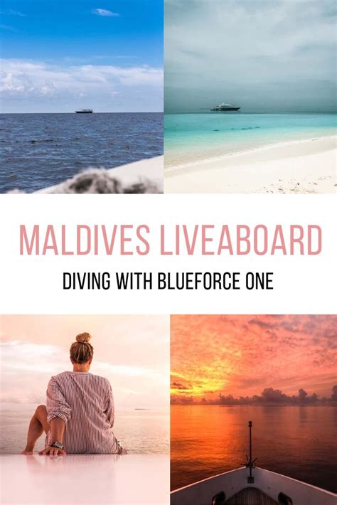 Underwater Holidays Why You Should Choose A Maldives Liveaboard
