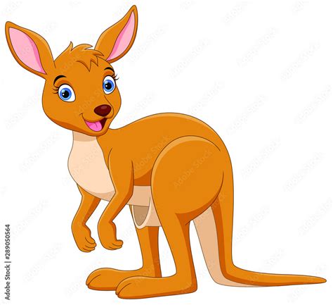 Vector Illustration Of Cute Kangaroo Cartoon Isolated On White