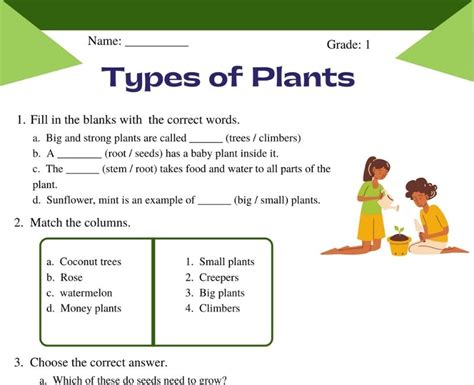 Interactive Types Of Plants Worksheets For Class 1 Science Lessons