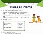 Interactive Types of Plants Worksheets for Class 1 Science Lessons