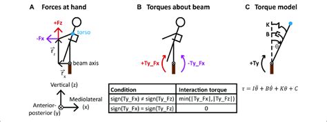 Torque On The Beam Walkers Body About The Beam Axis The Midline Of