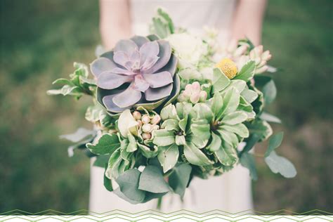 Check spelling or type a new query. 11 Adorable Mini Succulents Uses + Growing Tips ...