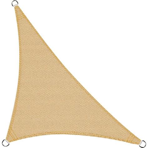 Voile D Ombrage Triangle Rectangle X X M Tres Une Protection