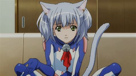 Chaika Cat Planet Cuties Cat Girl Anime Cat Anime