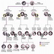 Family - Mrs Mousset | Queen victoria family tree, British royal family ...