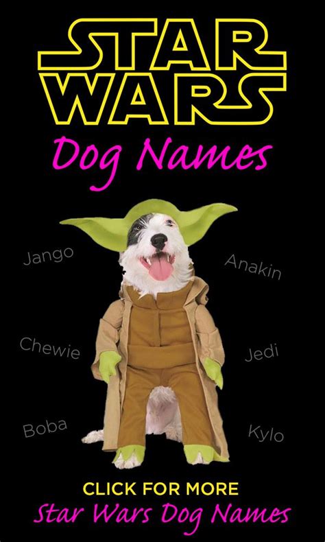 Star Wars Dog Names Dog Names War Dogs Puppy Names