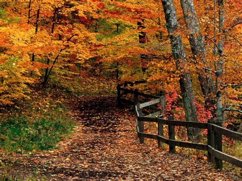 46 Free Screensavers Wallpaper Fall Scenes Wallpapersafari