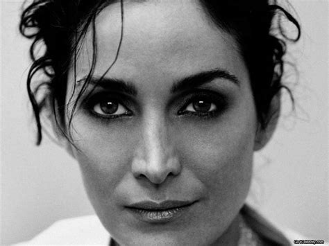 Hot Pictures And Wallpapers Carrie Anne Moss Wallpaper