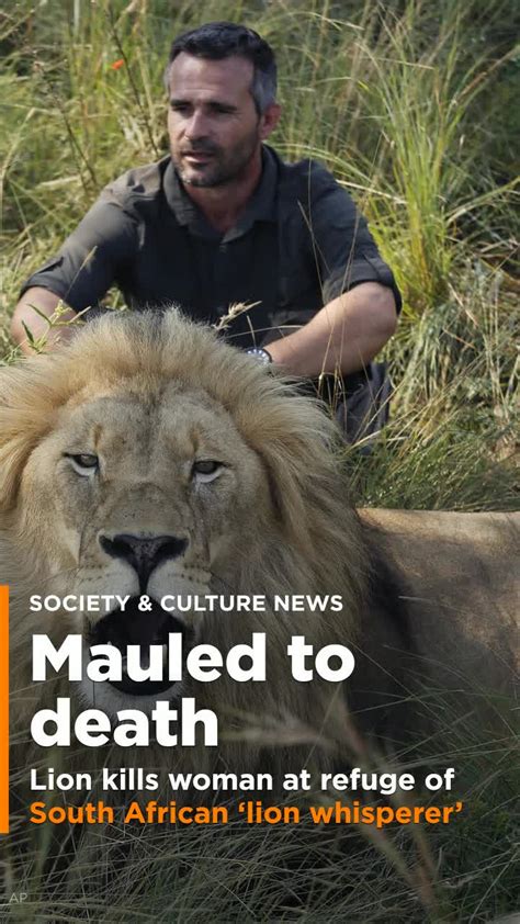 Lion Kills Woman At Refuge Of South African Lion Whisperer