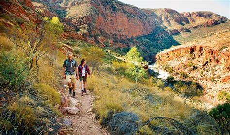 Larapinta Trail Iconic Australian Trek Australian Geographic