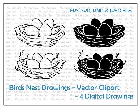 Bird Nest And Eggs Vector Clipart Drawing Outline And Stamp Etsy Hong