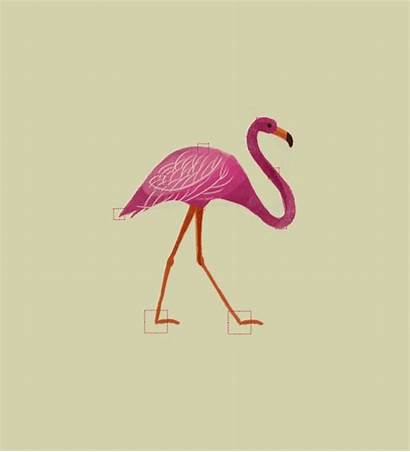 Flamingo Animation Walk Cycle Character Gifs Animated