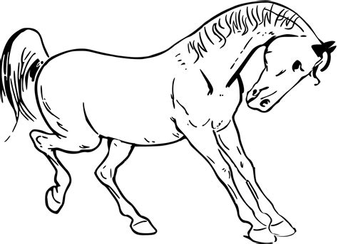 Download File:Horse clipart.svg - Wikimedia Commons