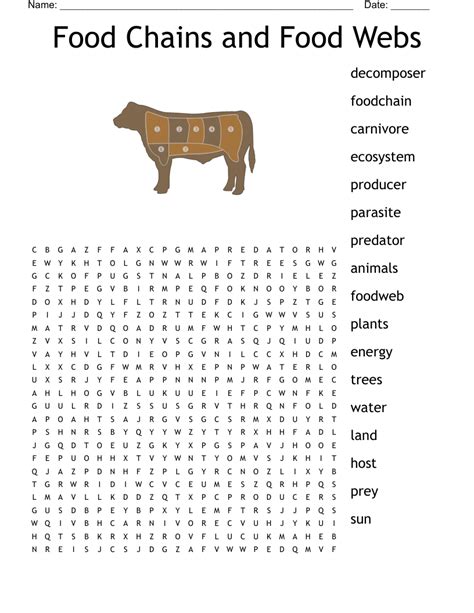 Similar To Food Chains Word Search Wordmint