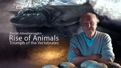 Watch Rise Of Animals With David Attenborough Online Stream Full Episodes