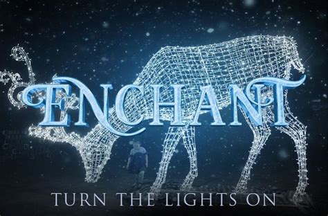 Enchant The Worlds Largest Christmas Light Maze Needs Your Help