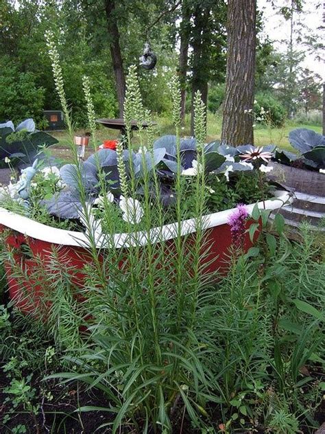 See more ideas about garden, garden tub, garden bathtub. ⚛(¯'•.⚛.•'¯)⚛ | Garden bathtub, Outdoor gardens, Garden ...