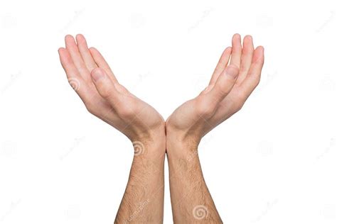 Man Keeping Hands In Cupped Shape Cutout Stock Photo Image Of T