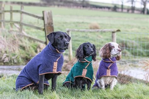 4 Different Types Of Dog Clothing The Planet Pet