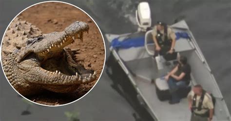 Alligator Rips Off Womans Arm As Canoers And Kayakers Fight Reptile World News Mirror Online
