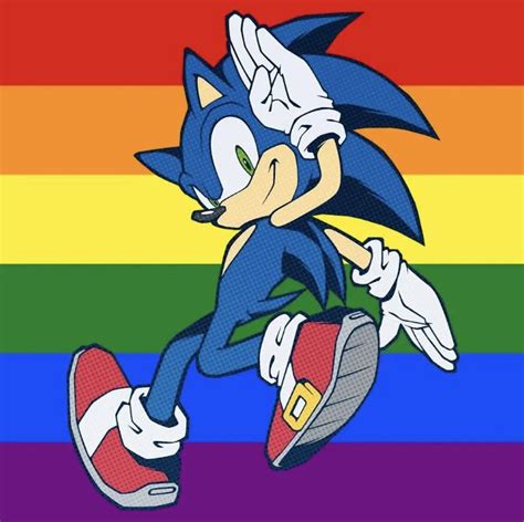 Funny Gay Sonic Sonic Japanese Poster Design Gay Flag