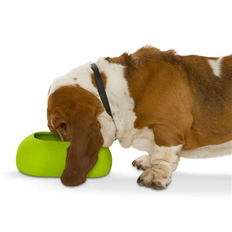 Even the messiest cat (and messiest family) are no match for the neater feeder's splash shielding wall, kick. The Best Dog Bowls For Fast Eaters, Messy Eaters, and More ...