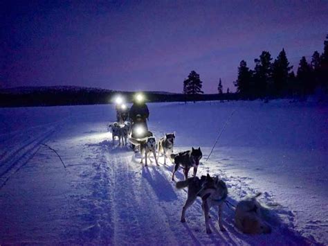 Dog Sledding Tours In Kiruna Sweden 2024 Nature Travels