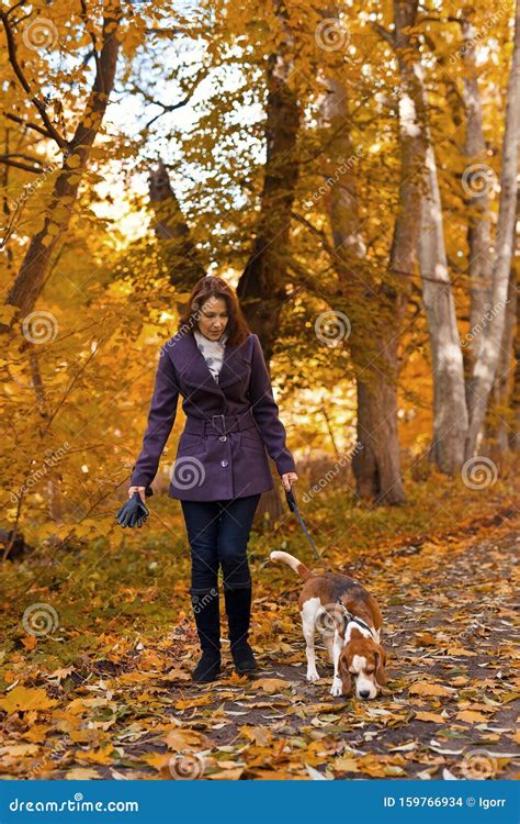 Mujer Con Perro Caminando Por El Parque Foto De Archivo Imagen De Gente Amigo 159766934