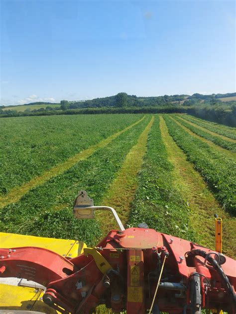 Hybrid Grass And Red Clover Silage The Farming Forum