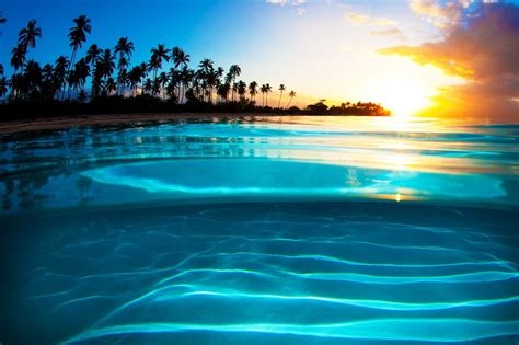 Liquid Crystal Sunset Sea Beach Palm Trees Clouds Tropical