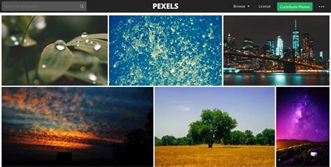 Pexels Stock Images Canvaaaaaaaa