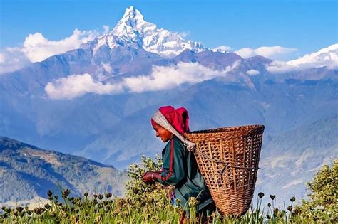 Best Things To Do In Pokhara Mylittleadventure