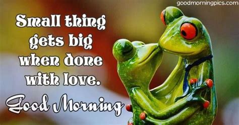 Good Morning Quotes With Love Frogs Kiss