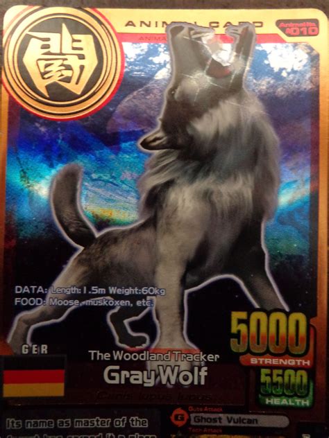 Gray Wolf | Animal Kaiser Wiki | FANDOM powered by Wikia