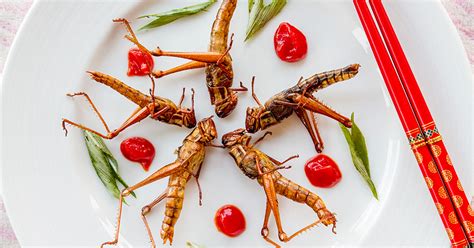 Edible Insects Superfood Diet