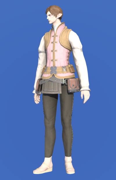 Dated Canvas Doublet Pink Gamer Escapes Final Fantasy Xiv Ffxiv