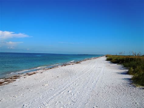 Maybe you would like to learn more about one of these? Honeymoon Island State Park - Dunedin Florida