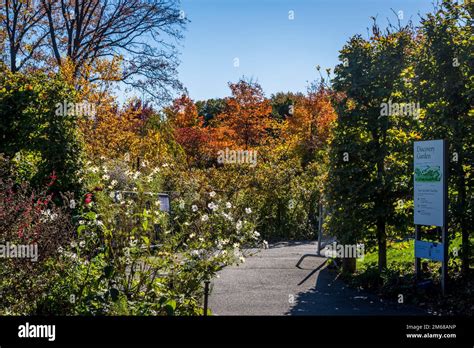Discovery Garden, Brooklyn Botanic Garden, founded in 1910, Brooklyn