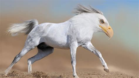 26 Photoshopped Animal Hybrids That Are Straight Out Of A