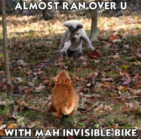 Lolcats Cats And Invisible Objects Amazing Creatures
