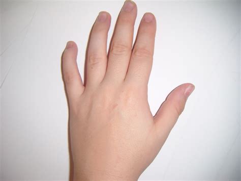 Child Hand Free Stock Photo Public Domain Pictures