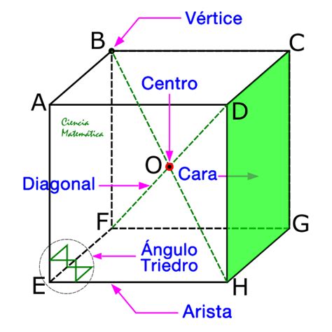 Elementos Del Cubo Circun