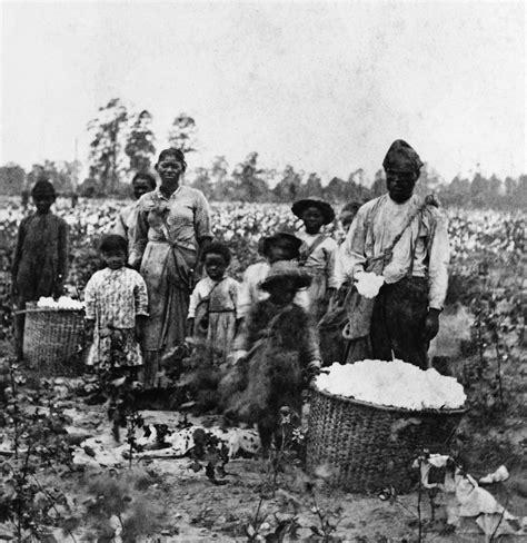 Plantation Slaves Slave Life Pictures Slavery In America