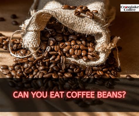 Can You Eat Coffee Beans Caffeine Crunch Exploring The Edible