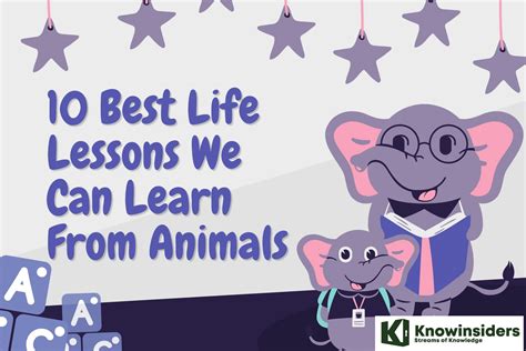 10 Best Life Lessons We Can Learn From Animals Knowinsiders