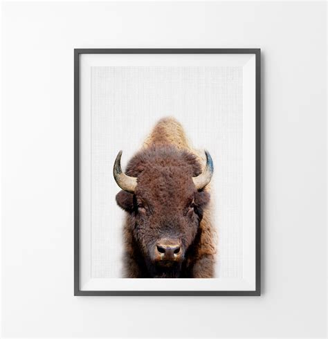 buffalo print bison photo printable poster instant digital etsy