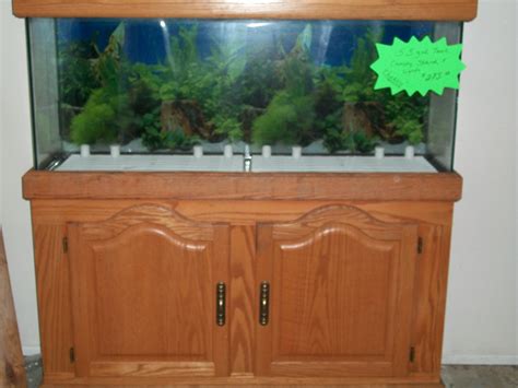 55 Gallon Aquarium With Oak Stand And Canopy In Crittercoves Garage
