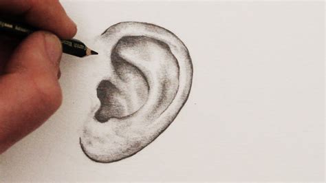 Easy Way To Draw Ears How To Draw Ears Step By Step Drawing