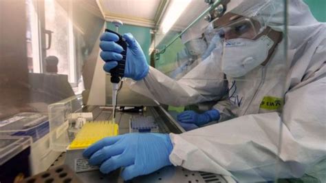 Mutaciones Del Coronavirus ¿se Volverá Más Transmisible Y Letal En El