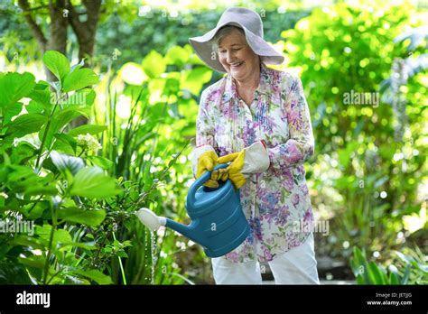Happy Senior Woman Watering Plants Stock Photo Alamy